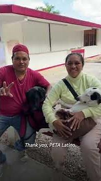 Our Cancún clinic changed lives 🐶🐱