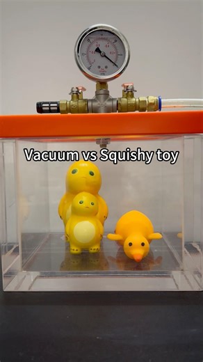 Squishy toy vs Vacuum, what’s next?