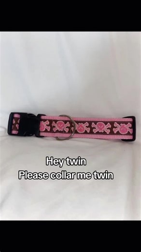 The Art of Collaring: Explore the Dogboy Experience