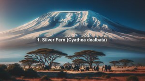 Unveiling New Zealands Botanical Wonders: Top 10 Native Flora Revealed!