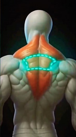 💪 Build Massive Traps | Powerful & Thick Trapezius Workout 🔥 #fitness #trending #traps #shorts