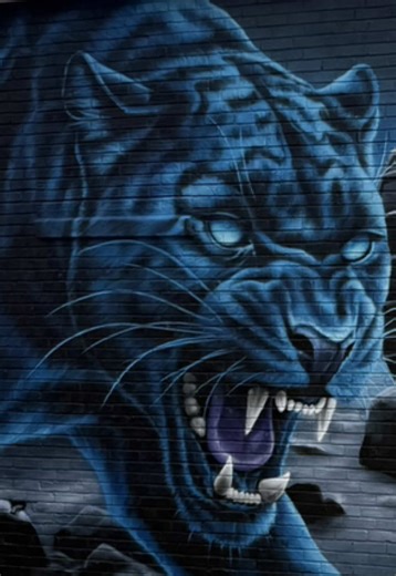 Playoff season in Carolina. The vibes were immaculate for game day in Charlotte! Can’t wait for next season. Where did y’all watch the game?! #charlotte #football