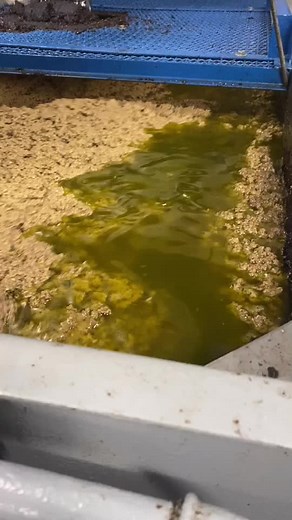 Μιχάλης Νταλός στο TikTok