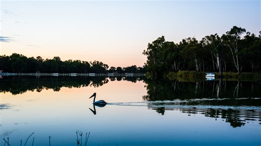 714K views · 5K reactions | Three Victorian Traditional Owner groups have won full native title over their ancestral lands – ending a decades-long fight for recognition. | Sky News Australia | Facebook