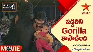 Sisindri Movie Scene | ఇద్దరిని Gorilla కాపాడింది | Telugu Movies | Star Maa #starmaa #telugumoviescenes #telugumovies #sisindri #nagarjuna #akhil #tabu | Star Maa