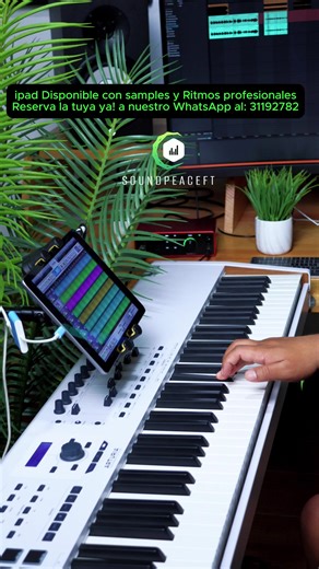 Pad Disponibles con más de 2000 Samples y más de 100 Ritmos Profesionales, a un Precio de Oferta!✅ 🛵 Envío gratis a todo el país! ✅ Pago contra entrega (Pagas al recibir tu iPad) ✅ WhatsApp al: 31192782 Contamos con librerías de: ✅Yamaha PSR 550 ✅Korg Triton Studio ✅Korg N364 ✅Korg 01W ✅Korg M1 ✅Korg D50 ✅Pianos para centro, pianos de adoración y Worship Pads. ✅Instrumentos Reales ✅Sonidos de Jacobo Reynoso, Banda Transfiguración, etc. ✅Korg PA1000 ✅Korg PA700 ✅Yamaha PSR900 ✅Korg Kronos ✅Korg 