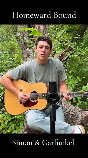 Homeward Bound #simonandgarfunkel #homewardbound #paulsimon #cover #folk #singersongwriter #acoustic