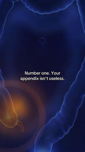 15K views · 1.8K reactions | Human body flaws that are actually evolutionary superpowers, Did the last one blow your mind? #fyp #History #HistoryTime #Science #body | dose.history | Facebook