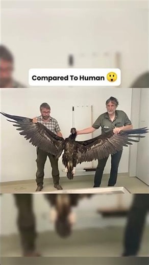 THINGS WHICH ARE BIGGER THAN YOU THINK