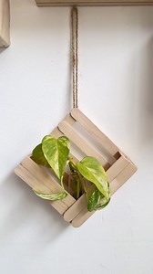 Diy propagation wall idea ✨ Save for later and follow for more diy ideas 💡 #diy #homedecor #propagation #propagating #plant #plants #plantas | Peri Azizov