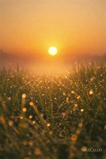 Morning Renewal Cello | Somatic Healing