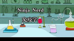 Ninja Nerd《免疫学|Immunology》中英字幕（deepseek-R1）