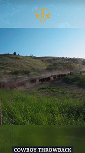 2.8K views · 189 reactions | Inside a Cattle Round-Up! From Scattered Herds to Corral! #cattleroundup #ranchlife #cowboylife #viral #westernadventure #herdingcattle #corralingcattle #cattleranch #cowboywork #trending #westernlife #ranchwork #cattleherding #behindthescenes #trinityvandenacre | Life in the West | Facebook
