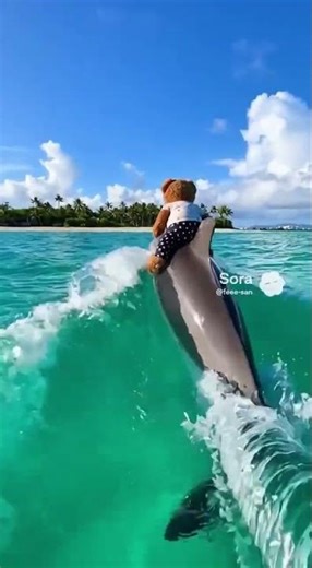 イルカと泳ぐテディベアのフェーさん #sora2 #teddybear #soralife #cute #funny #dolphin