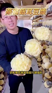 食欲不振？沒有胃口？ 🥘香濃可口的【燕窩銀耳豆漿】 早起出門來一杯溫溫熱熱的銀耳燕窩豆漿粉😋 🌟營養師精心配比🌟❤女人天然美容院 ✨富含蛋白質✨美容又好喝🥦健康易消化 ✅養生✅控卡✅易吸收✅補充植物蛋白 👍美麗又健康，緊實皮膚，重回青春彈力肌 | TymniB