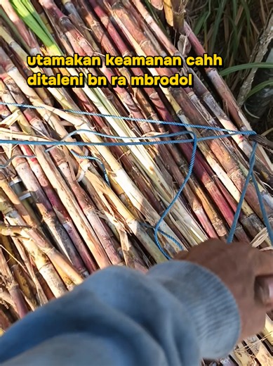 Seling E Ranutot Cahh: Utamakan Keamanan di Tebu Race