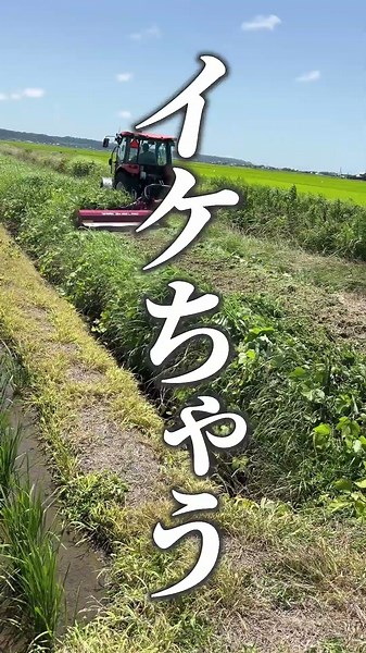最先端？！他にはない左側で作業できる草刈り機が便利すぎる！ #農家 #農業 #機械 #作業#草刈り#道路#道交法#右もある