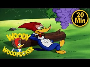 Woody Woodpecker | Woody Goes Camping | 3 Full Episodes