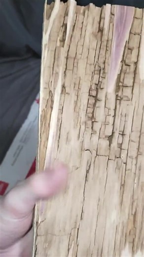 Red Cedar Kiln Dried Live Edge Board (approximately 15 3/4" X 5 7/8" X 7/8") Interesting Cracks and Wormy Holes, Great for Epoxy Project! - Etsy