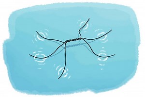 Make Metal Float: Build a Water Strider #MakerEducation