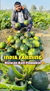 100% Organic Farming in India 🇮🇳