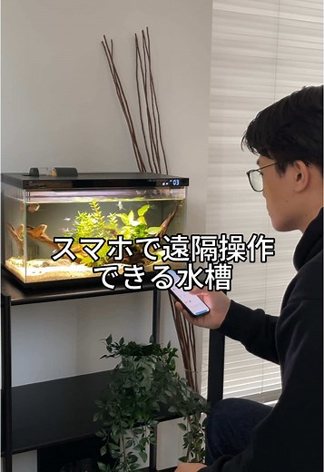 海外で話題の水槽が日本に上陸！！ 詳しくはBiorium（ビオリウム）で検索🔍 #aquarium #aquariumhobby #marineaquarium #reefaquarium #interior #interiordesign #aquariumlife #aquariumtank #aquariumplants #Biorium #ビオリウム #スマート水槽 #アクアリウム #マリンアクア #インテリア #マリンアクアリウム