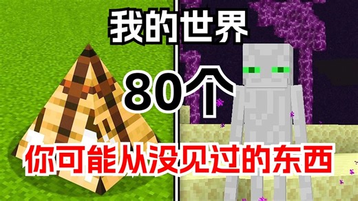 我的世界：80个你可能从没见过的东西