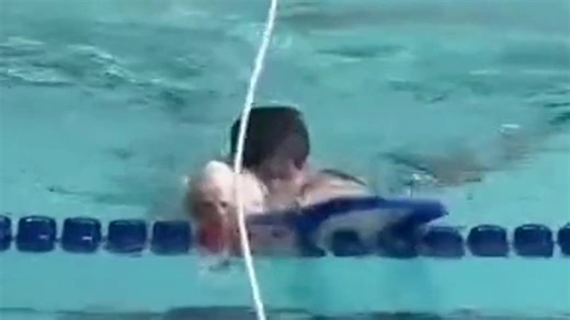 Cat rescued after falling from ceiling into pool during swimming competition