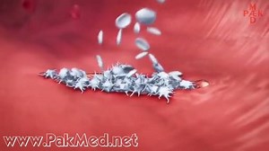 18 reactions · 13 shares | Platelet Activation and Factors for Clot Formation | PakMed - CME | Facebook