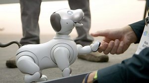 Sony is refurbishing old robot dogs so that they can find a home: just as you’re reading it - Softonic