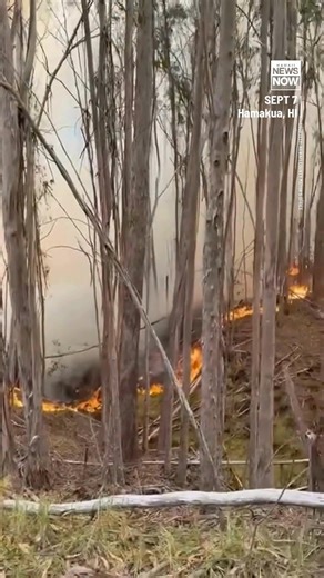 235K views · 2.9K reactions | A fire on Hawaii Island is going into...
