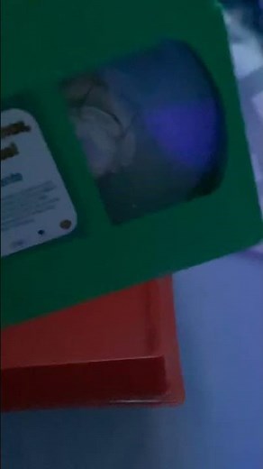 Teletubbies: Merry Christmas Teletubbies VHS Overview