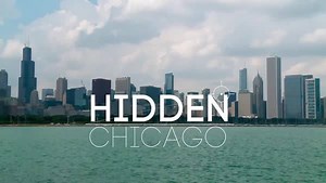 447K views · 3.6K reactions | Deep in the basement of the Palmer...