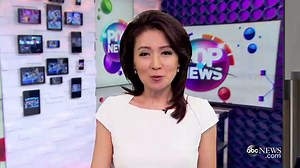 Puppy Rivals Grumpy Cat With Miserable Facial Expression