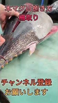 本マグロ捌き方！柵取り#short #shorts #new #fish #japan #howto #おすすめ #簡単 #料理 #釣り #楽しい #美味しい