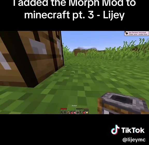 Part 3 - I added the Morph Mod to minecraft - Lijey #minecraft