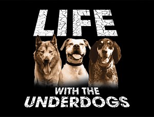 THE PIT BULLS & PAROLEES REBOOT! | Tia Maria Torres of Pit Bulls & Parolees