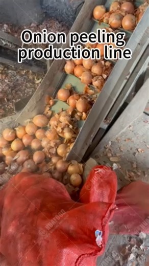 Zhu Andrea on Instagram: "Industry Onion Peeling and Root Cutting Processing Line Onion Peeler Machine #OnionMachine #VegetableProcessing #onionpeeler #onionpeelingmachine #commercialonionpeeler WhatsApp：+8615238368892 Email：info@haverymachinery.com"