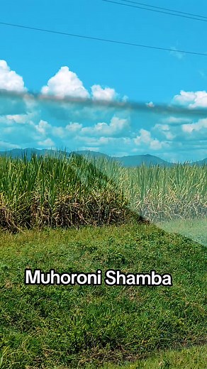 Luo Benga Music: Muhoroni Shamba