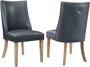 Powell Parnell Natural and Navy Blue Faux Leather Upholstered Set of 2 Dining Chairs