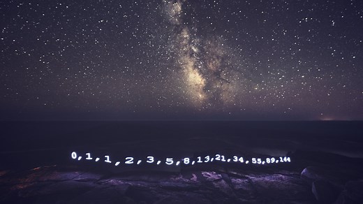 Por que a sequência Fibonacci está em quase tudo na natureza? A ciência responde!