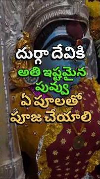 అమ్మ వారికి అతి ఇష్టమైన పువ్వు #navratri #durgapuja #bhakti #shakti #devotional #durga #spiritual