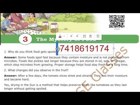 Class 5 Hindi / Chapter 7 / Exam Question & Answer