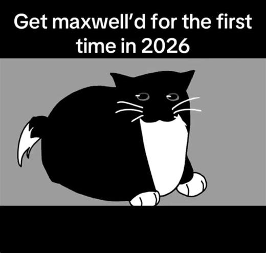 Maxwell | Happy New Year! | #cat #newyears | maxwell the cat