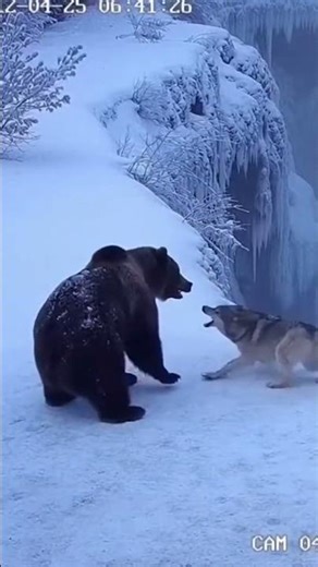 When the Wild Instincts Explode #wildliferescue #animals