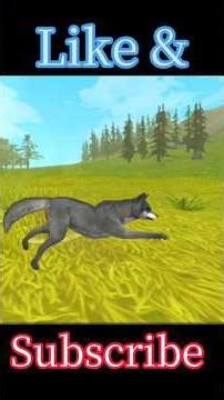 Cartoon | Wolf Cartoon | Wild Cartoon #cartoon #shorts #wildcartoon