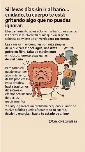 Causas del estreñimiento que debes conocer #Estreñimiento #Causas #CuriosidadesDeLaSalud