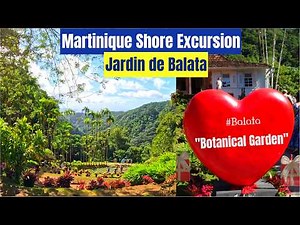 Jardin de Balata, Martinique: Stunning Rainforest Gardens & Canopy Walkway, Hummingbirds