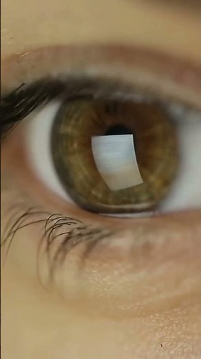 Speed Reading lernen in 60 Sekunden (3x schneller lesen) 👀