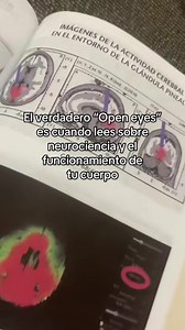 Amante y Ladrón: Medusas y Neurociencia